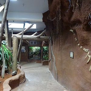 Tropikariet - Madagascar - General view