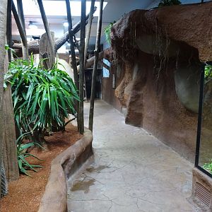 Tropikariet - Madagascar - General view