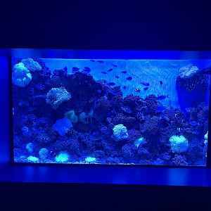 aquarium 2 - BX Sea
