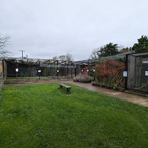 View of Bird Aviaries