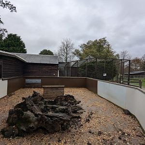Long-nosed Potoroo and Greater Grison Enclosure