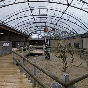 Walkabout Aviary and Wombat Enclosure