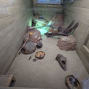 Spinifex Hopping Mouse Enclosure