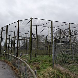 Aviaries for Large Birds