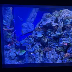 hide & seek exhibit - BX Sea