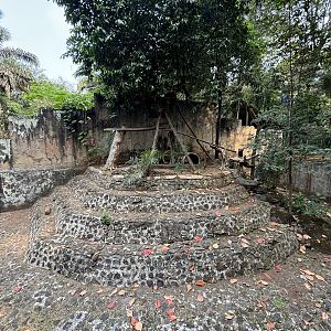 Binturong Exhibit #1