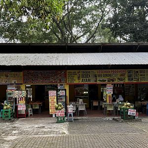 Stores selling food
