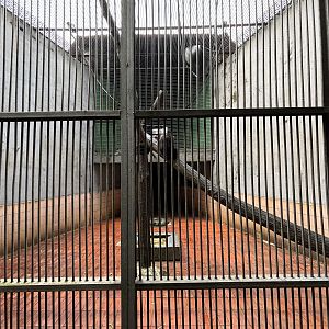 Agile Gibbon Exhibit #1