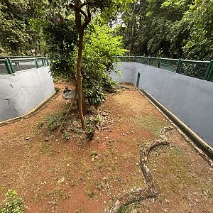 Snake Pit Enclosure
