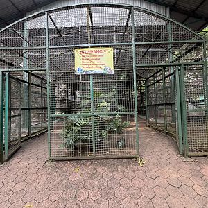 Aviary Entrance