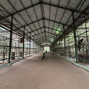 Massive Aviary Complex - rows of cages