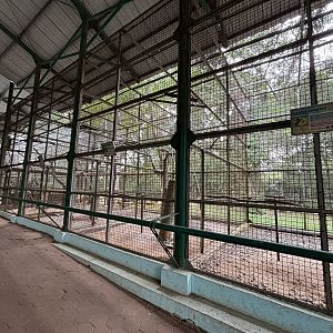 Assorted Aviaries