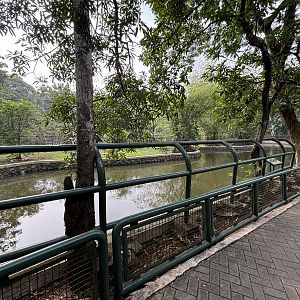 Common Hippo Exhibit
