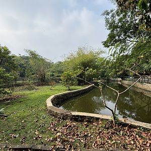 Common Hippo Exhibit