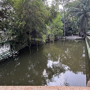 Pygmy Hippo Exhibit #3