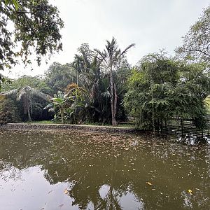 Common Hippo Exhibit