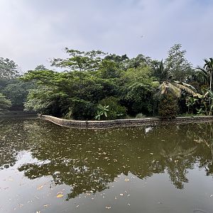 Common Hippo Exhibit