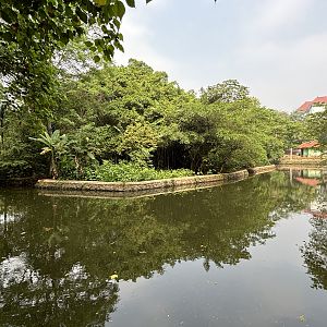 Common Hippo Exhibit