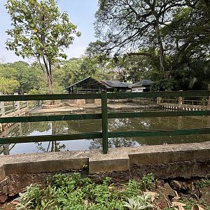 Common Hippo Exhibit