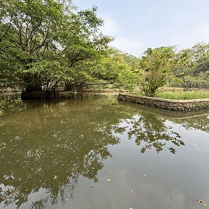 Common Hippo Exhibit