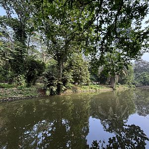 Common Hippo Exhibit