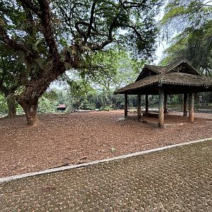 Bawean Deer Exhibit #2