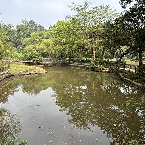 Saltwater Crocodile Complex - several exhibits