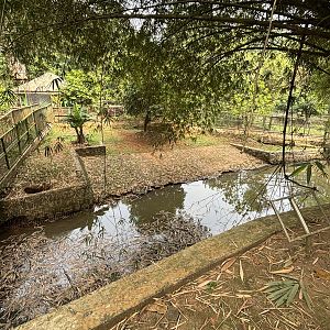 Saltwater Crocodile Complex - several exhibits