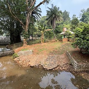 Saltwater Crocodile Complex - several exhibits