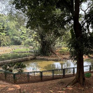 Saltwater Crocodile Complex - several exhibits