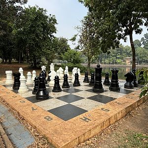 Giant Chessboard