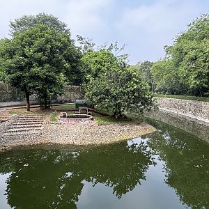 Tiger Exhibit #1 - Bengal