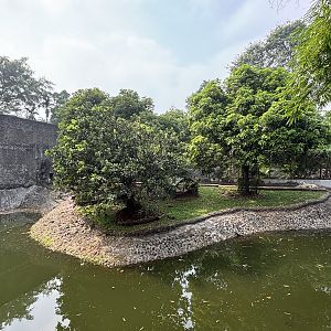 Tiger Exhibit #2 - Bengal