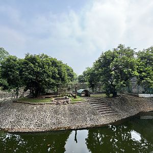 Tiger Exhibit #3 - Bengal