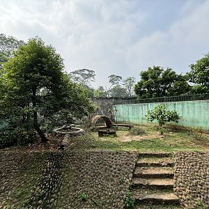 Tiger Exhibit #6 - Sumatran