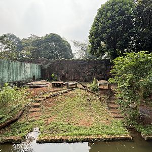 Tiger Exhibit #13 - Sumatran