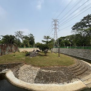 Tiger Exhibit #14 - Bengal
