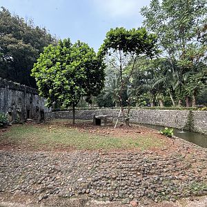 Dusky Pademelon Exhibit #1