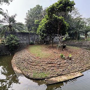 Dusky Pademelon Exhibit #1