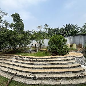 Sun Bear Exhibit #10