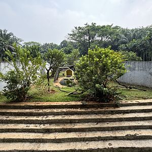 Sun Bear Exhibit #11