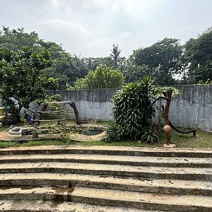 Sun Bear Exhibit #12
