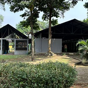 Quarantine Complex - loads of primates!