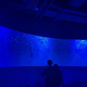 circular aquarium (1) - BX Sea