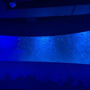 circular aquarium (2) - BX Sea