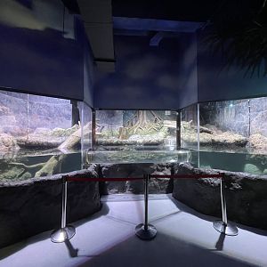 asian small-clawed otter (aonyx cinereus) exhibit - BX Sea