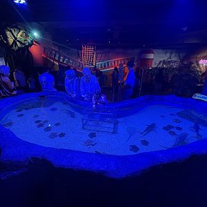 touch pool (1) - BX Sea