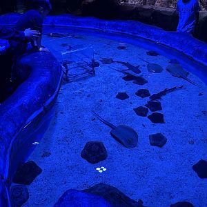 touch pool (2) - BX Sea