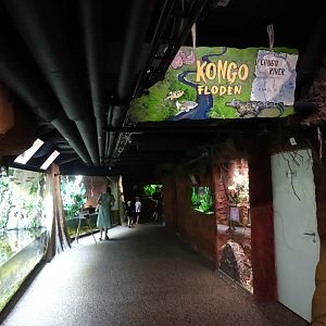 Tropikariet - Congo River - General view