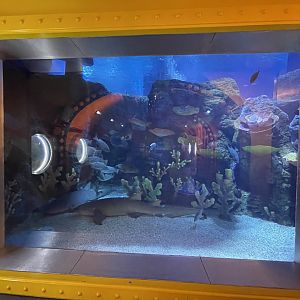 main aquarium viewing (3) - BX Sea